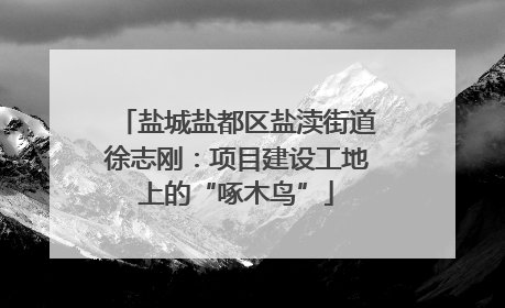 盐城盐都区盐渎街道徐志刚：项目建设工地上的“啄木鸟”